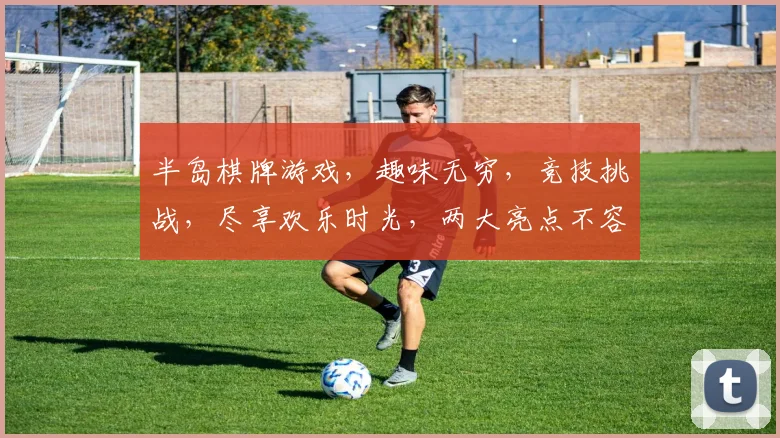 半岛棋牌游戏，趣味无穷，竞技挑战，尽享欢乐时光，两大亮点不容错过