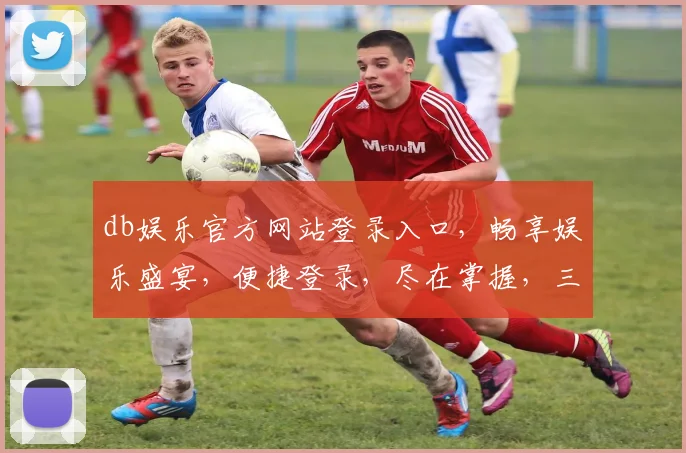 db娱乐官方网站登录入口，畅享娱乐盛宴，便捷登录，尽在掌握，三步直达