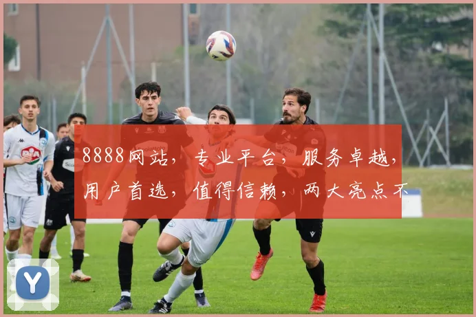8888网站，专业平台，服务卓越，用户首选，值得信赖，两大亮点不容错过