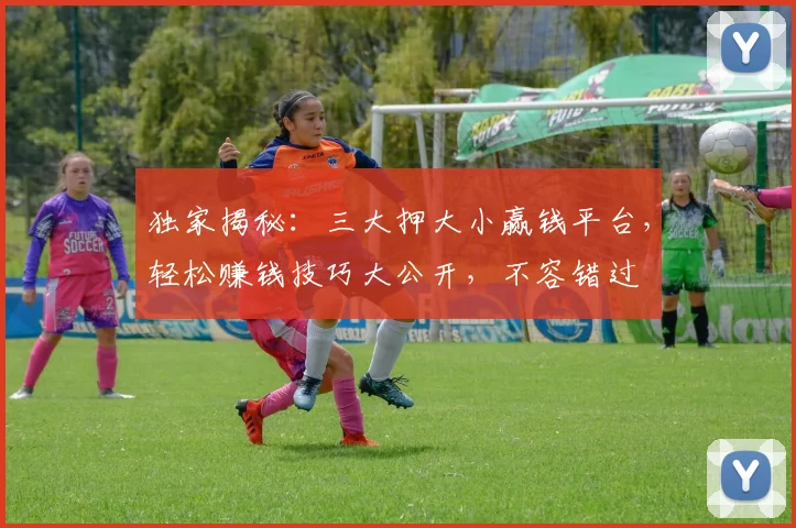 独家揭秘：三大押大小赢钱平台，轻松赚钱技巧大公开，不容错过