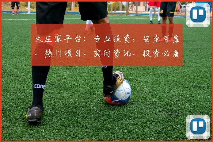 大庄家平台：专业投资，安全可靠，热门项目，实时资讯，投资必看，双平台同步，尽在大庄家