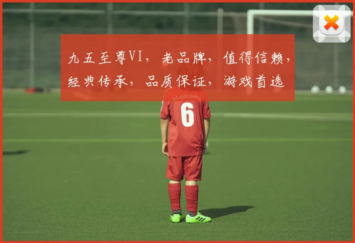 九五至尊VI，老品牌，值得信赖，经典传承，品质保证，游戏首选